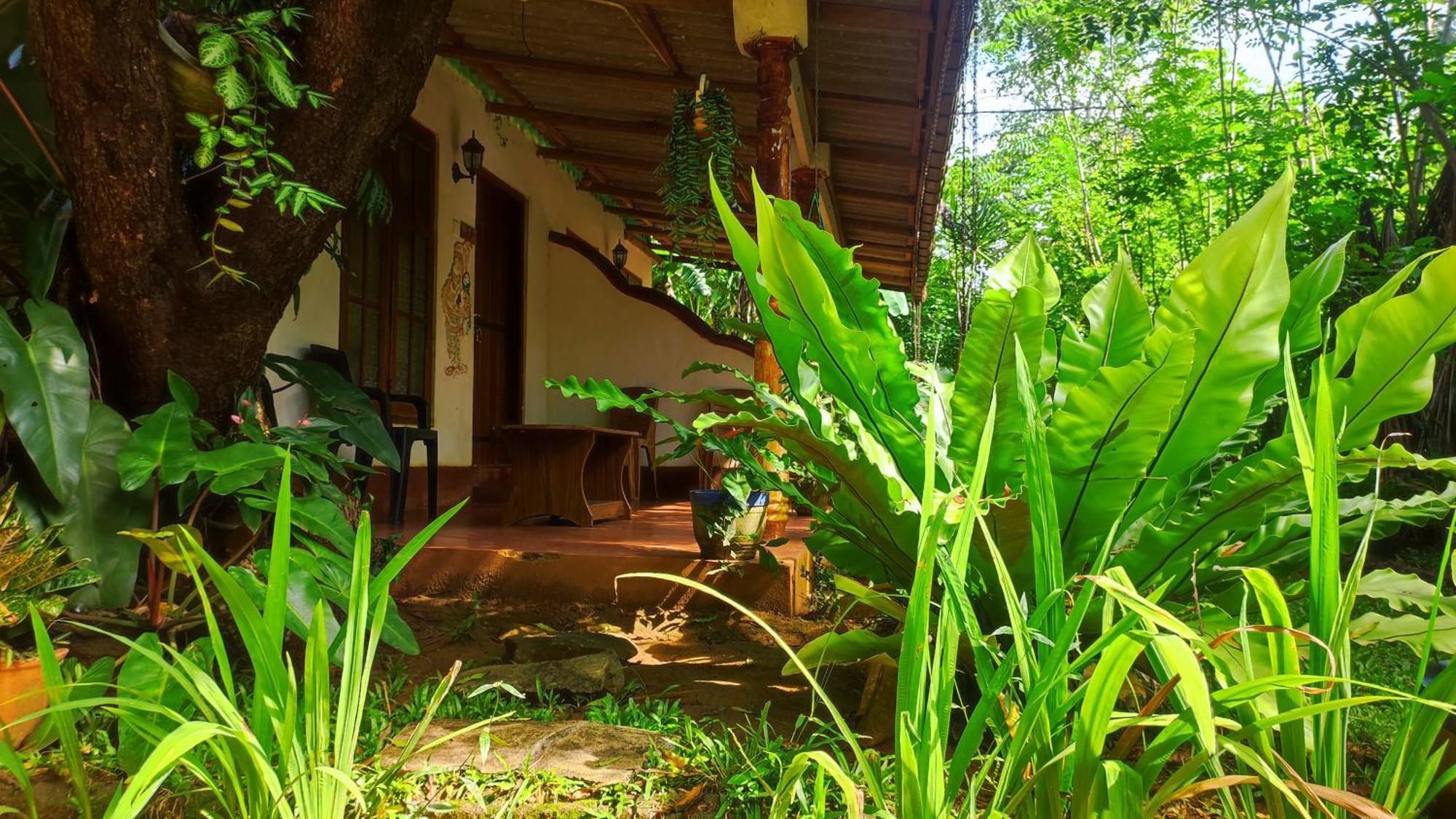 Jaana Guest Hotel Sigiriya Exterior photo